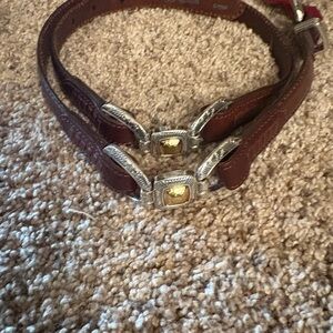 Stylish Brown Brighton Belt with Silver and Gold Details